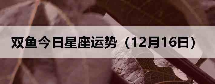 ˫������������ƣ�12��16�գ�