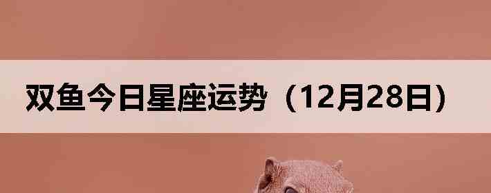 ˫������������ƣ�12��28�գ�