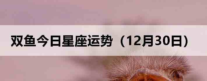 ˫������������ƣ�12��30�գ�