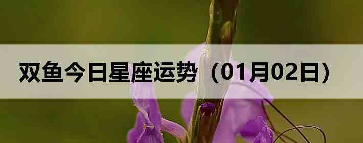 ˫������������ƣ�01��02�գ�