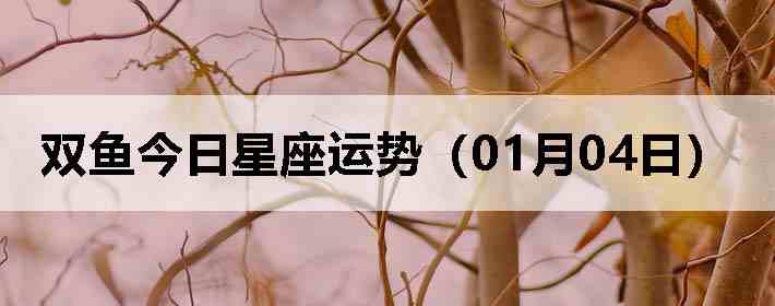 ˫������������ƣ�01��04�գ�