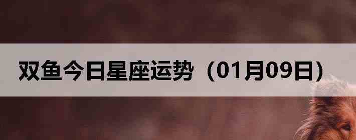 ˫������������ƣ�01��09�գ�