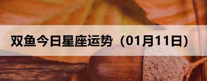 ˫������������ƣ�01��11�գ�