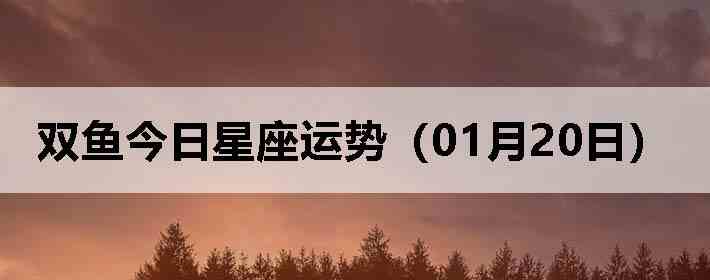 ˫������������ƣ�01��20�գ�