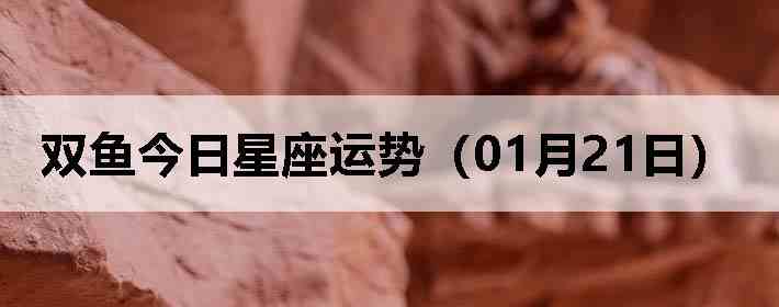 ˫������������ƣ�01��21�գ�