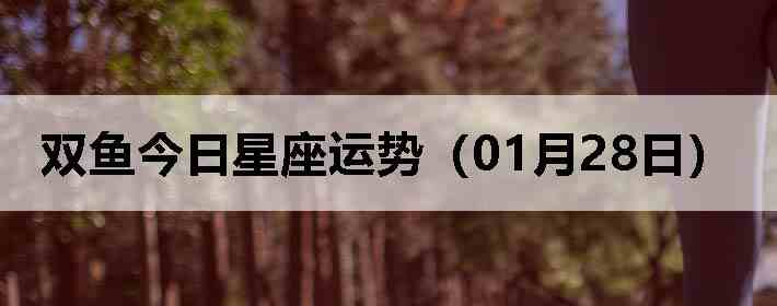 ˫������������ƣ�01��28�գ�