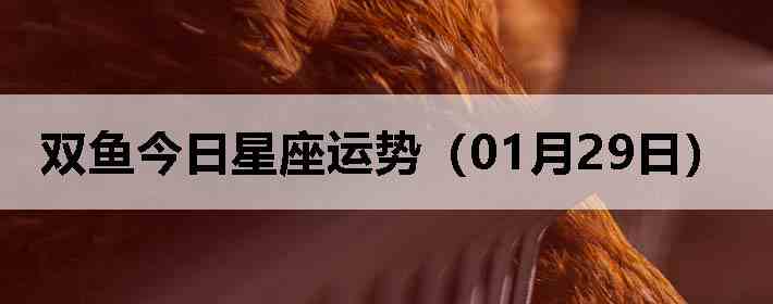 ˫������������ƣ�01��29�գ�