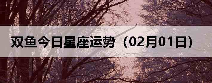 ˫������������ƣ�02��01�գ�