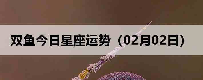 ˫������������ƣ�02��02�գ�