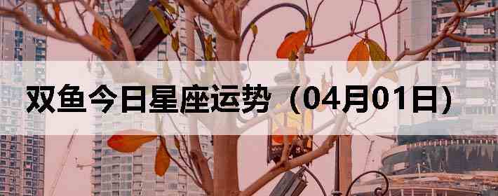 ˫������������ƣ�04��01�գ�