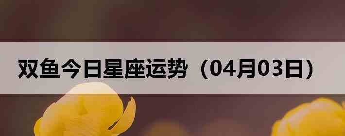 ˫������������ƣ�04��03�գ�