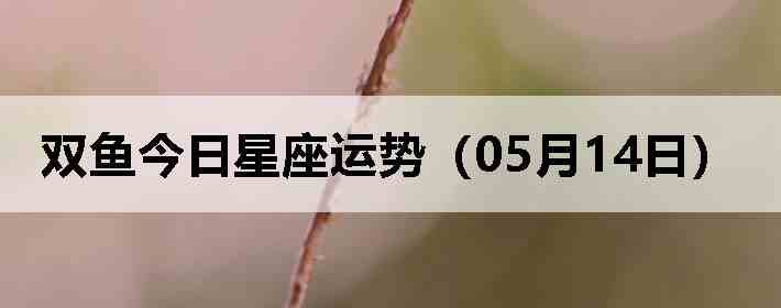 ˫������������ƣ�05��14�գ�