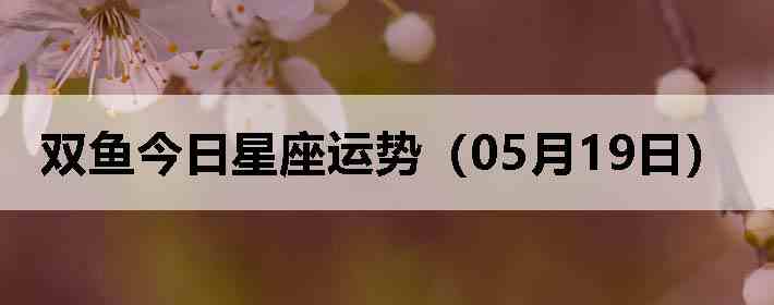 ˫������������ƣ�05��19�գ�