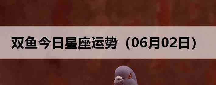 ˫������������ƣ�06��02�գ�