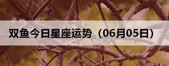˫������������ƣ�06��05�գ�