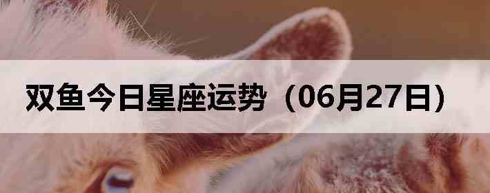 ˫������������ƣ�06��27�գ�