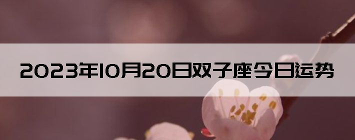 20231020˫