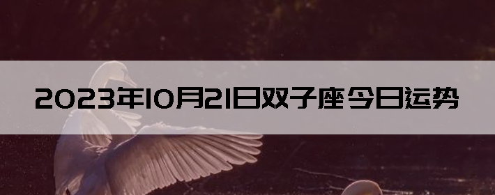20231021˫
