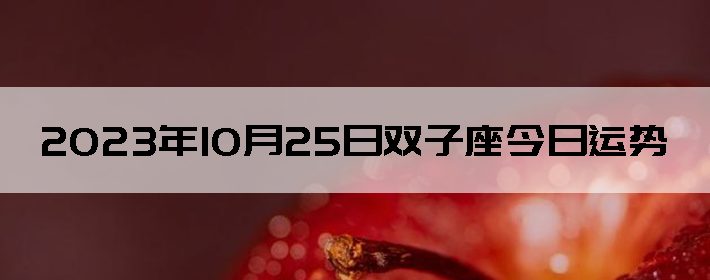 20231025˫