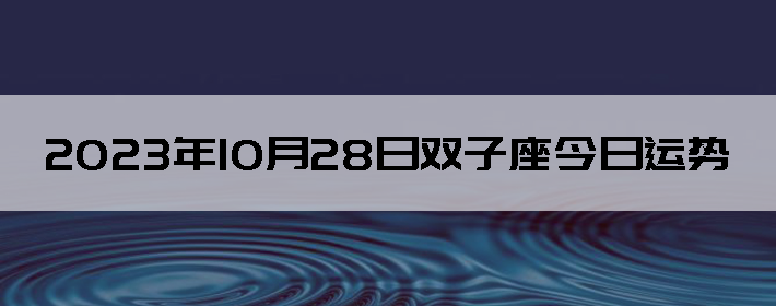 20231028˫
