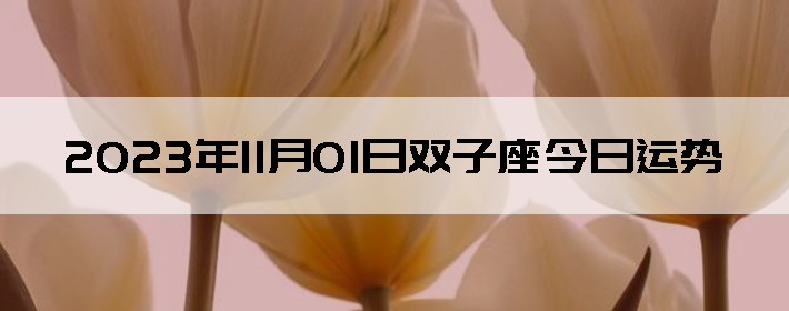 20231101˫