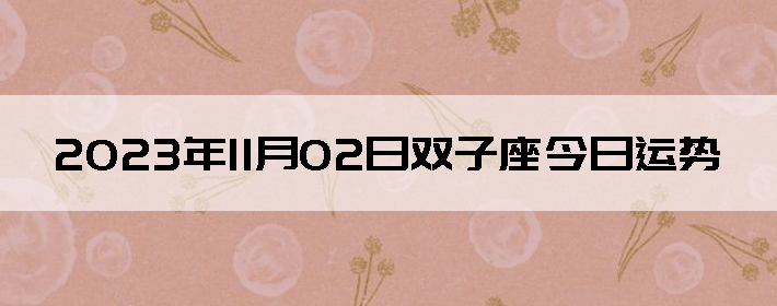 20231102˫