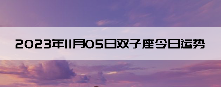 20231105˫