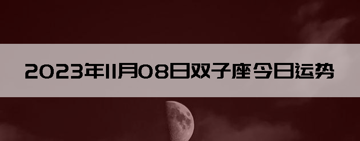 20231108˫