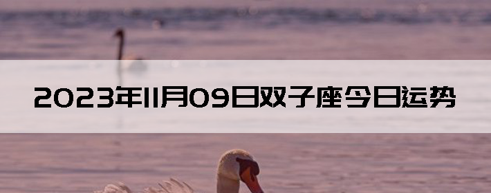 20231109˫