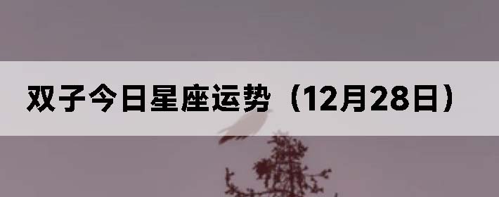 ˫ӽƣ1228գ