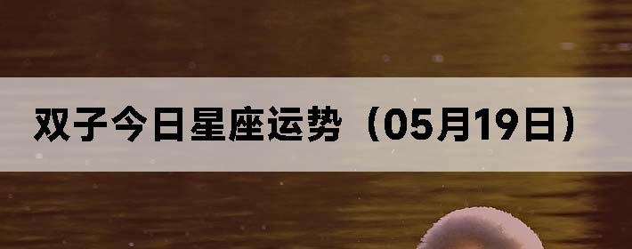 ˫ӽƣ0519գ