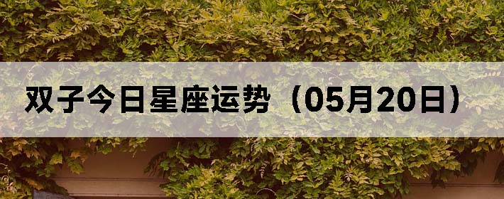 ˫ӽƣ0520գ