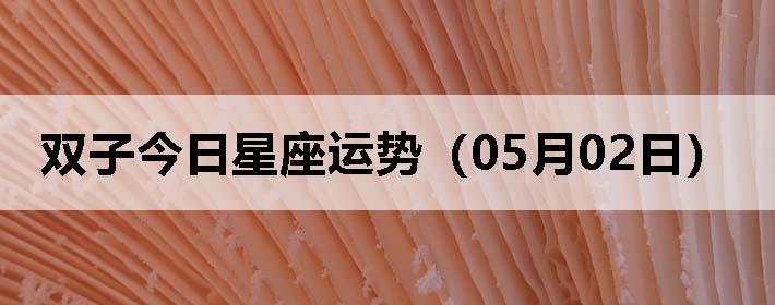 ˫ӽƣ0502գ