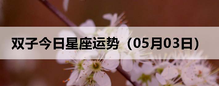 ˫ӽƣ0503գ