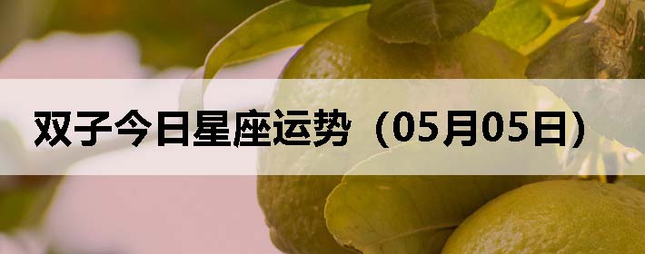 ˫ӽƣ0505գ