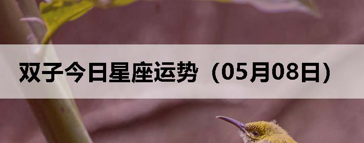 ˫ӽƣ0508գ