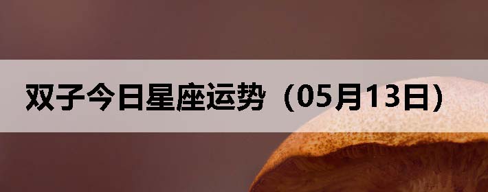 ˫ӽƣ0513գ
