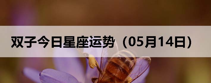˫ӽƣ0514գ