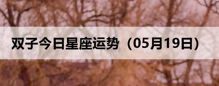 ˫ӽƣ0519գ