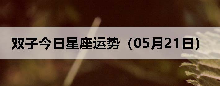 ˫ӽƣ0521գ