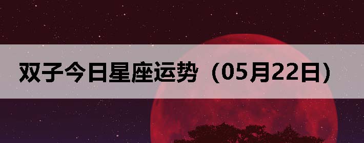 ˫ӽƣ0522գ
