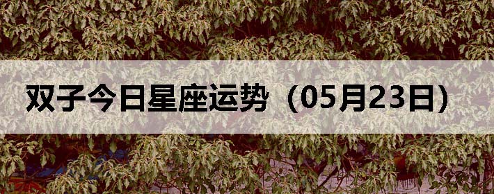 ˫ӽƣ0523գ