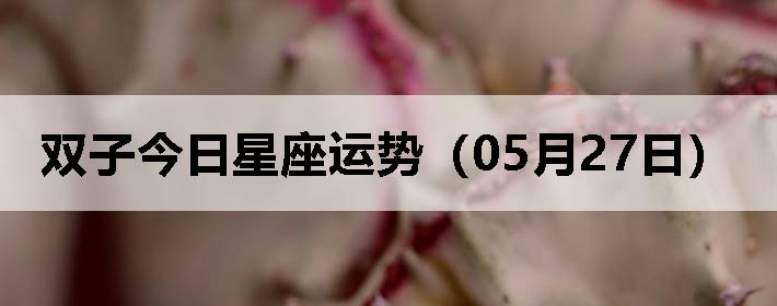 ˫ӽƣ0527գ