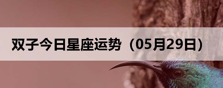 ˫ӽƣ0529գ