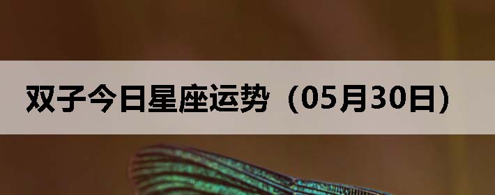 ˫ӽƣ0530գ