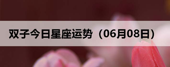 ˫ӽƣ0608գ