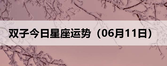 ˫ӽƣ0611գ