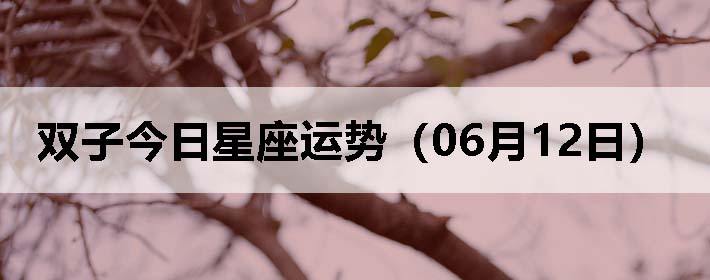 ˫ӽƣ0612գ