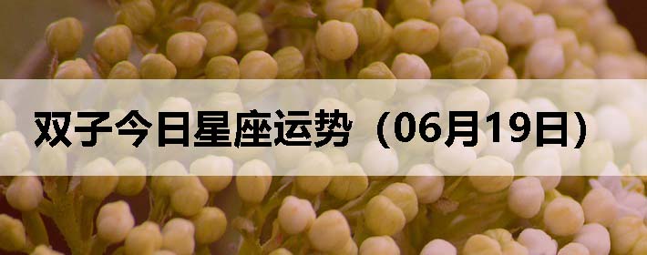 ˫ӽƣ0619գ