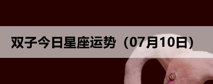 ˫ӽƣ0710գ